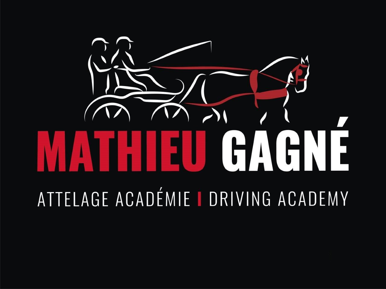 Académie d'attelage Mathieu Gagné