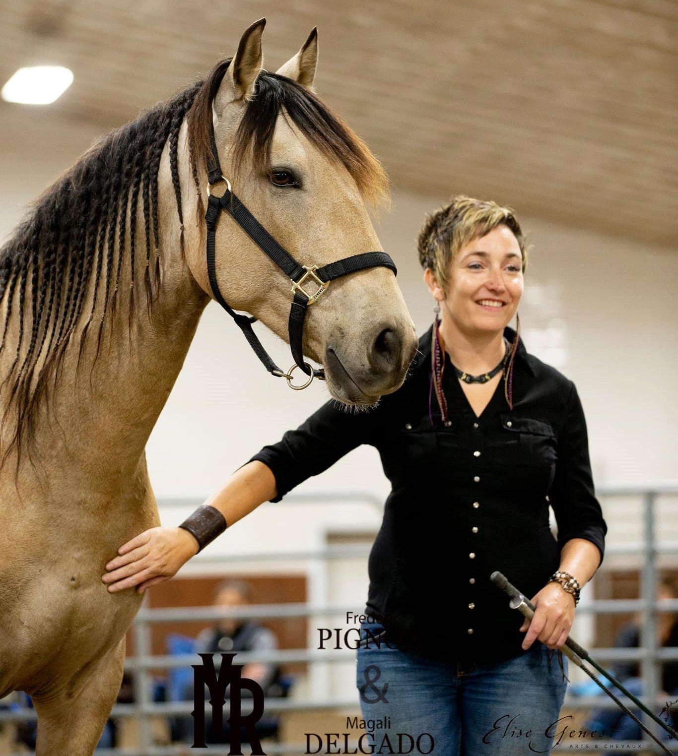 Laplume et les chevaux du feu