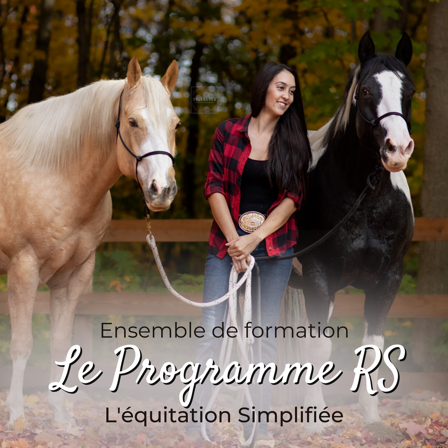 Ensemble de formation "Le programme RS" Équitation simplifiée