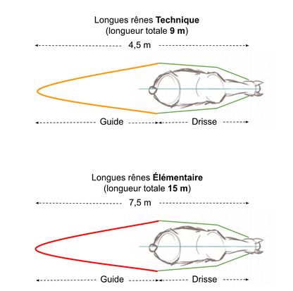 Longues rênes AAMG